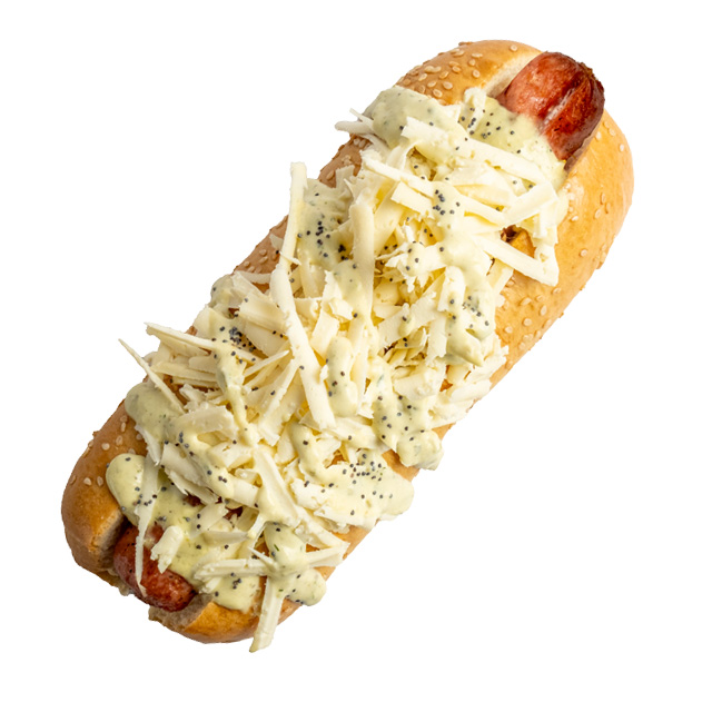 perro-queson